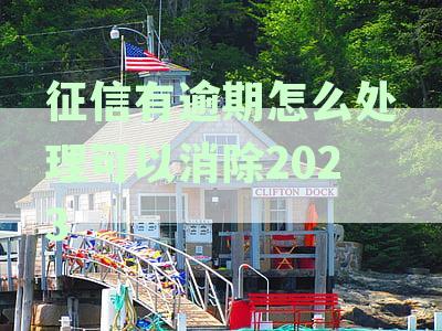如何解决房贷征信逾期记录，恢复信用？消除不良贷款对银行贷款的影响