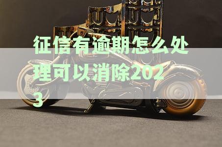 征信逾期处理攻略：如何消除逾期记录，提高信用评分并避免未来问题