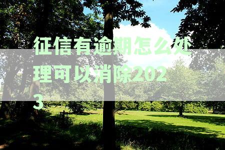 新逾期征信记录处理方法及消除费用解析