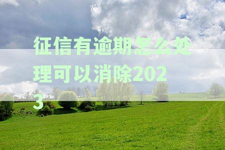 征信有逾期怎么处理可以消除2023