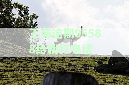 工商银行客服电话告知信用卡逾期问题，如何解决？