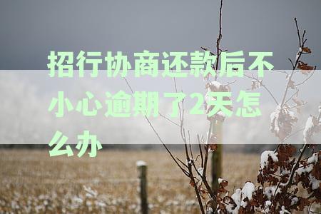 招行协商还款后逾期两天的解决方法和后续影响，如何补救？
