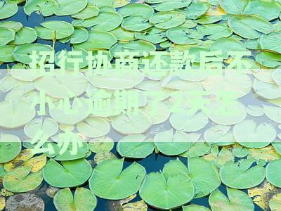 招行协商还款后是否可再次协商及还款方式