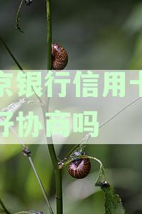 北京银行信用卡客服电话：了解办理、激活、查询余额等常见问题解答与帮助