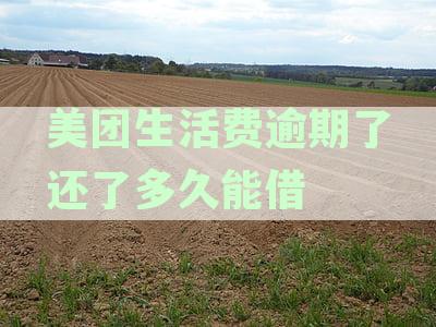 美团生活费逾期还款后，多久能再次借款以及可能的影响和解决办法
