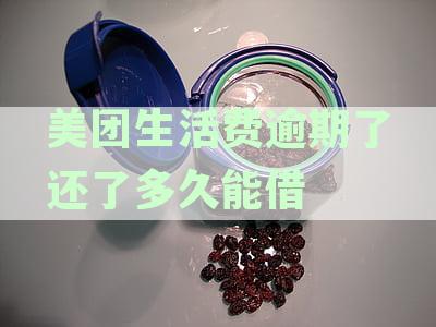 美团生活费逾期还款后多久可以再借出？