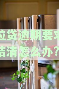 微粒贷逾期提前还款全款：详细步骤与注意事，确保无风险完成提前还款