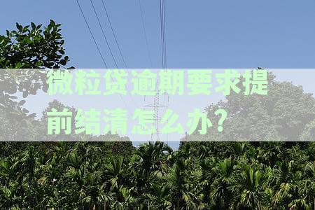 逾期微粒贷的还款问题：提前结清后，是否还能再次借款？