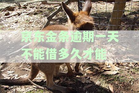京东金条逾期一天后，多久才能恢复借款功能？