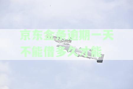 京东金条逾期一天还款，是否会影响后续借款及如何处理？