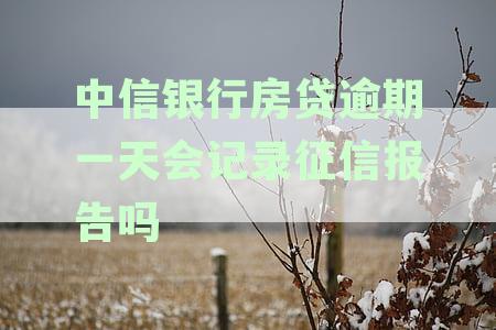 中信银行贷款逾期一天是否会影响征信系统？解答疑惑
