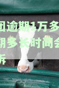 美团逾期1万多元逾期多长时间会被起诉