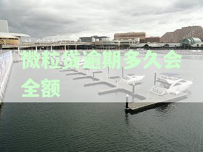 微粒贷还款逾期后的一次性全额还清攻略