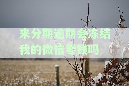 来分期逾期会冻结我的微信零钱吗安全吗：探讨相关账户安全问题