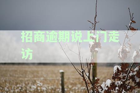 招商逾期上门走访的概率：如何降低被访的可能性及应对方法
