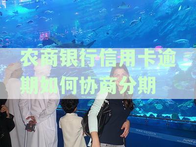 农商银行信用卡逾期如何协商分期还款：技巧与申请方法