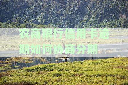 农商银行协商还款全攻略：技巧、步骤和注意事，助您顺利解决债务问题