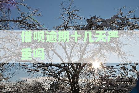 逾期还款后，借呗额度何时恢复正常使用？还有哪些可能影响额度恢复的因素？