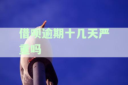 逾期十多天的借呗：处理后果与支付方式探讨