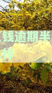 豆豆钱逾期了会怎么样：处理方式、征信影响及是否可以再借