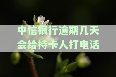 中信银行逾期多少天会上征信报告：解答你关于信用卡逾期的全部疑问