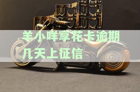 羊小咩享花卡逾期一天是否会影响个人信用？如何解决逾期问题？