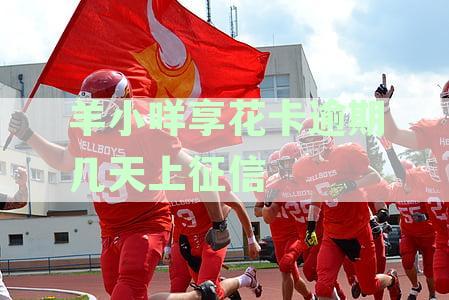 羊小咩享花卡逾期会爆通讯录吗？2023年，逾期多久会上门？