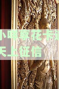 羊小咩花卡逾期还款全攻略：如何避免逾期后果，处理方法一网打尽！