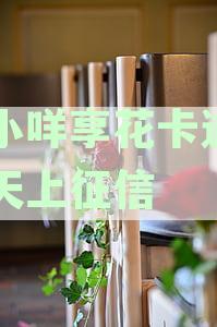 羊小咩享花卡逾期几天上征信