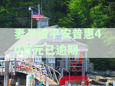 平安普贷款逾期后，公安局是否会介入处理？