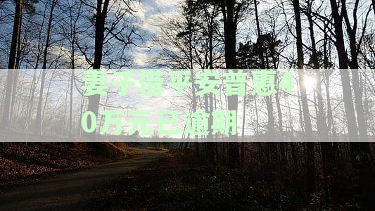 平安普欠款40万，丈夫无法偿还：解决方案和建议