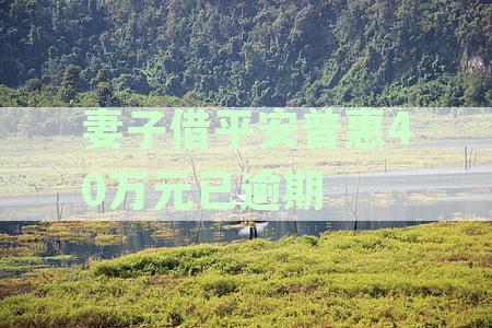 我在平安普贷款还不上，老婆会被起诉吗？怎么办？