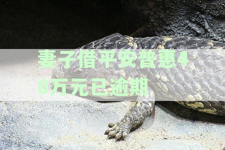 妻子借平安普40万元已逾期