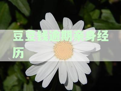 豆豆钱逾期未还，如何一次性还款？满足要求后解决还款困境