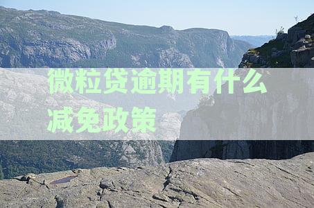 微粒贷逾期产生的逾期费减免：操作方法与影响分析