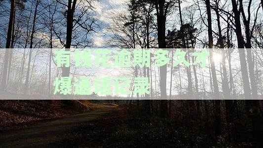 逾期未还款的电话记录会在多久后被曝光？了解详细情况和应对策略