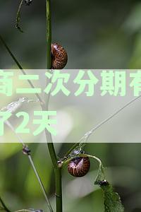 逾期还款后二次协商的策略和建议：信用卡管理实战指南