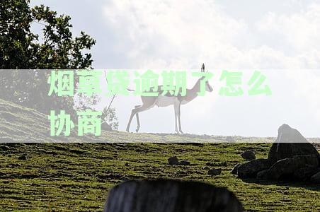 烟草贷逾期了怎么协商还本金？逾期后的处理方法是什么？