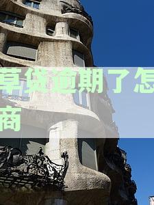 烟草贷逾期解决方案：如何应对、期申请与后果分析