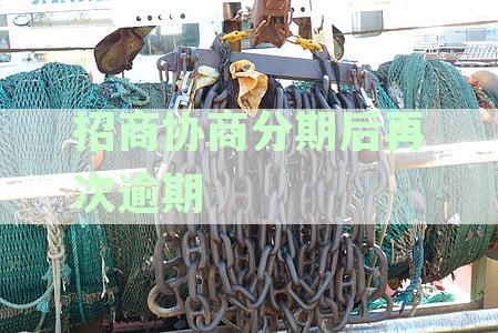 招行信用卡逾期二次协商还款方案探讨