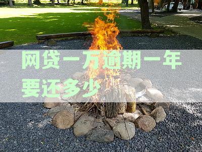 网贷逾期一年后，一万的债务需要还多少？——具体计算方法与利息分析