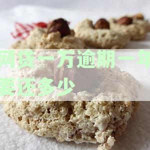 一万元网贷逾期一年后，你需要支付的具体金额及相关费用全面解析