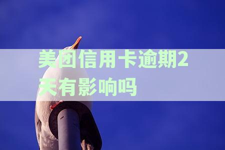 美团逾期两天：对个人征用卡使用的影响有多大？