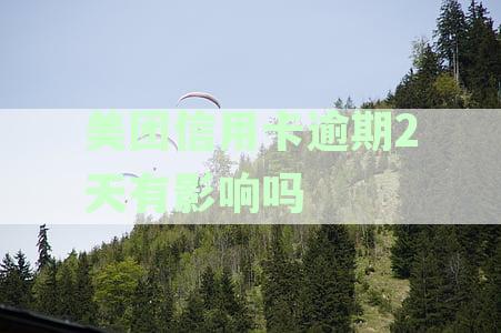 美团逾期还款可能对信用卡产生的影响及应对策略：详解与解答