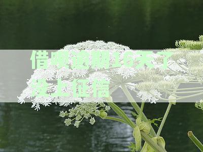 逾期16天的借呗会影响征信吗？用户可能面临的后果及解决方法全面解析