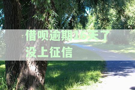 借呗逾期16天了没上征信有影响吗？如何解决？