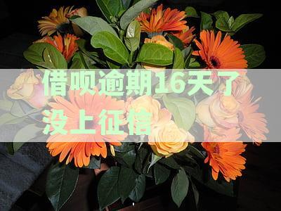 借呗逾期16天了没上征信