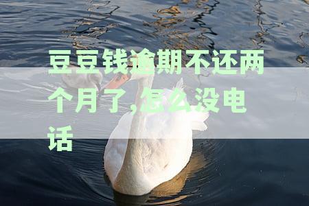 豆豆钱逾期两个月未还款，用户遭遇电话短信缺失问题，如何解决？