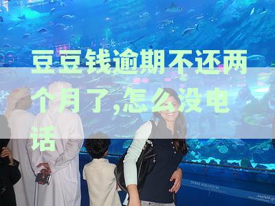 豆豆钱逾期不还两个月了,怎么没电话