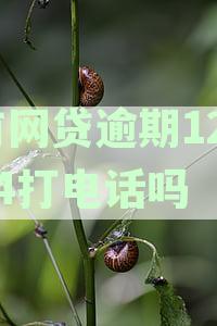 网贷逾期后是否会接到12304打电话？如何应对电话催收及解决逾期问题？